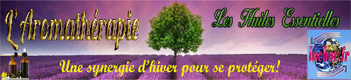 synergie_hiver.pdf