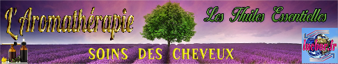 soins des cheveux.pdf